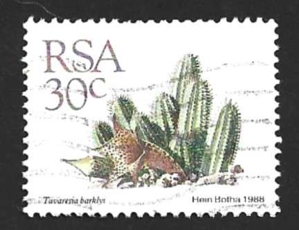 1988 SOUTH AFRICA SUCCULENTS