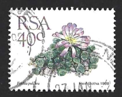 1988 SOUTH AFRICA SUCCULENTS