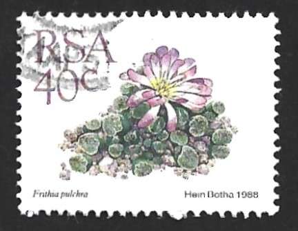 1988 SOUTH AFRICA SUCCULENTS