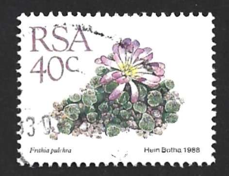 1988 SOUTH AFRICA SUCCULENTS