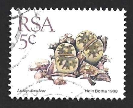 1988 SOUTH AFRICA SUCCULENTS