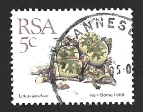1988 SOUTH AFRICA SUCCULENTS