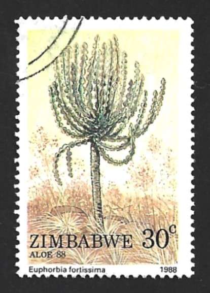 1988 ZIMBABWE ALOE