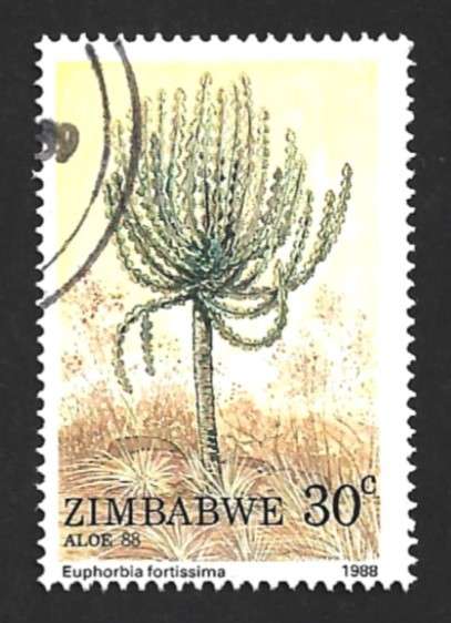 1988 ZIMBABWE ALOE