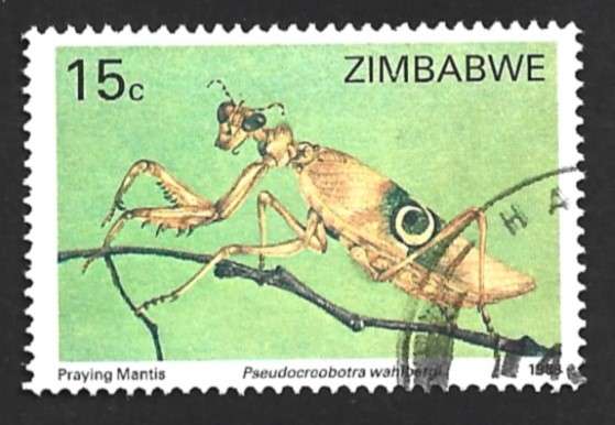 1988 ZIMBABWE INSECTS