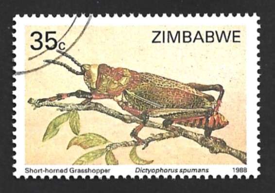 1988 ZIMBABWE INSECTS