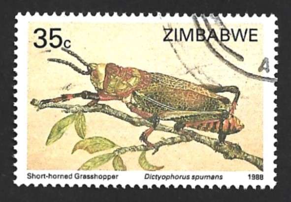 1988 ZIMBABWE INSECTS