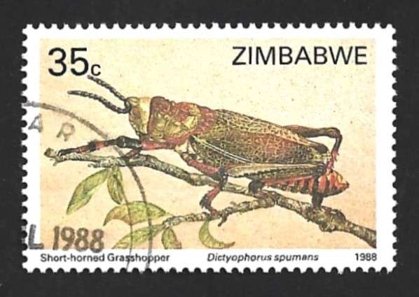 1988 ZIMBABWE INSECTS