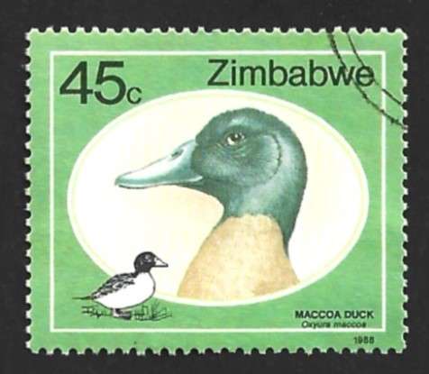 1988 ZIMBABWE WILD DUCKS AND GEESE