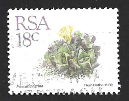 1989 SOUTH AFRICA SUCCULENTS