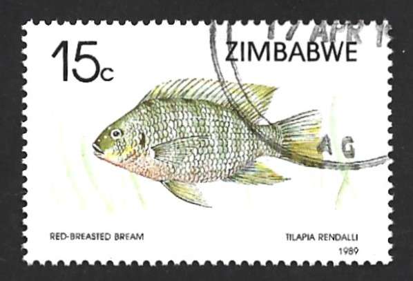 1989 ZIMBABWE FISH