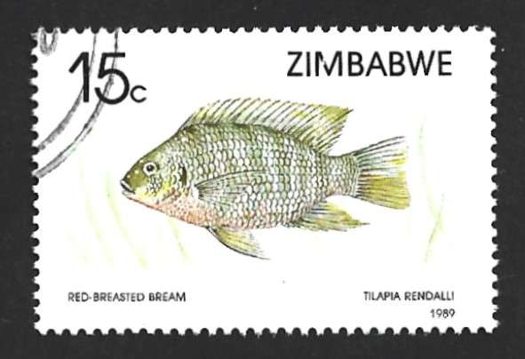 1989 ZIMBABWE FISH