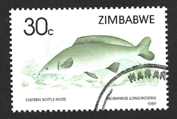 1989 ZIMBABWE FISH