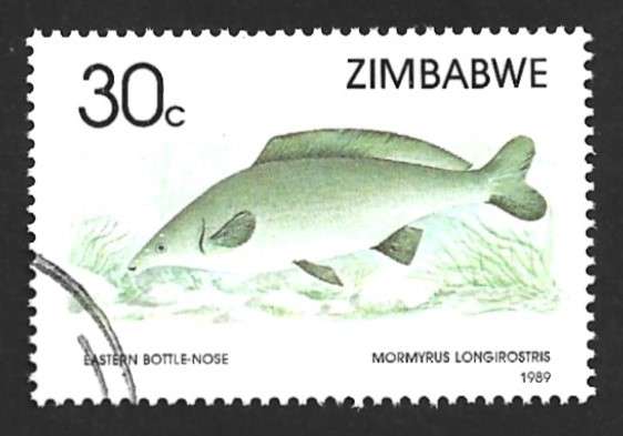 1989 ZIMBABWE FISH
