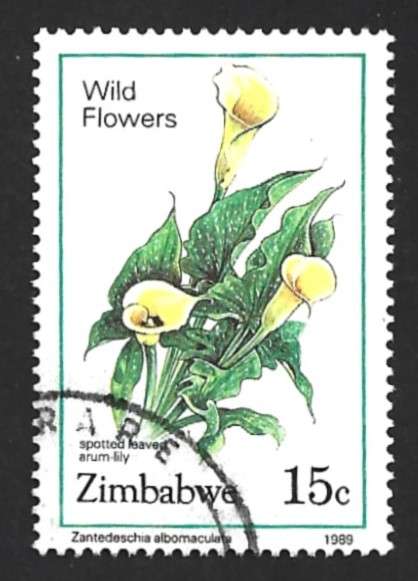 1989 ZIMBABWE WILD FLOWERS