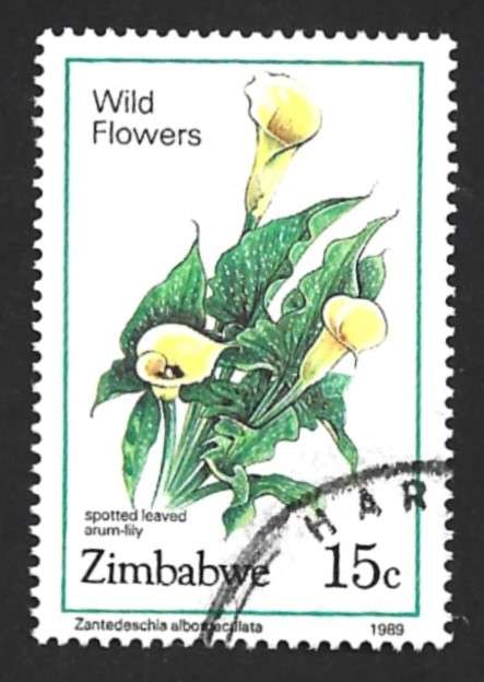 1989 ZIMBABWE WILD FLOWERS