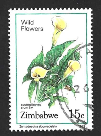 1989 ZIMBABWE WILD FLOWERS