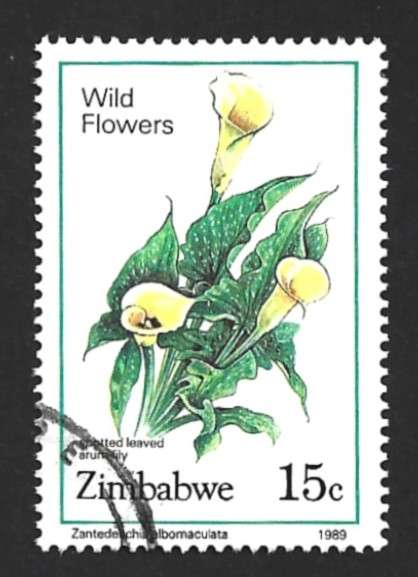 1989 ZIMBABWE WILD FLOWERS