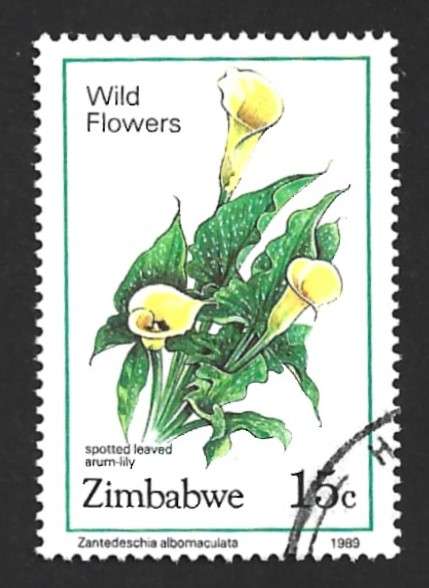 1989 ZIMBABWE WILD FLOWERS