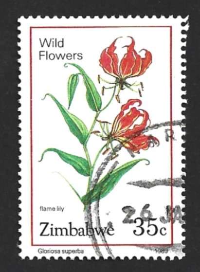 1989 ZIMBABWE WILD FLOWERS