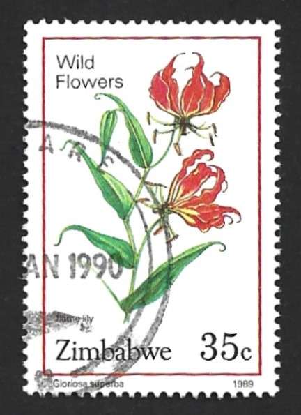 1989 ZIMBABWE WILD FLOWERS