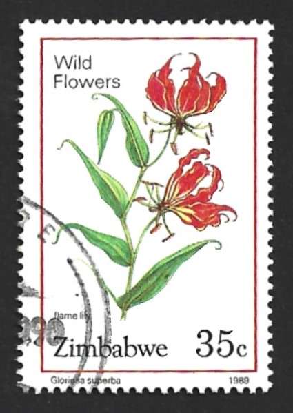1989 ZIMBABWE WILD FLOWERS