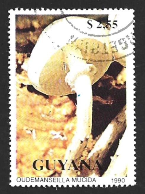 1990 GUYANA FUNGI