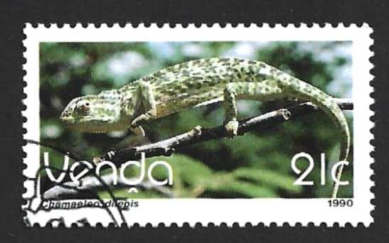 1990 VENDA REPTILES