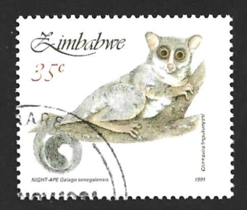 1991 ZIMBABWE SMALL MAMMALS