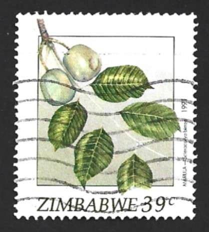 1991 ZIMBABWE WILD FRUITS