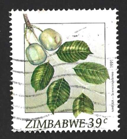 1991 ZIMBABWE WILD FRUITS