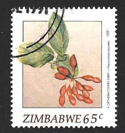 1991 ZIMBABWE WILD FRUITS