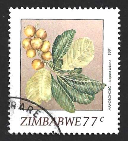 1991 ZIMBABWE WILD FRUITS