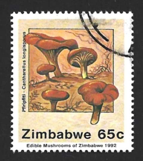 1992 ZIMBABWE EDIBLE MUSHROOMS