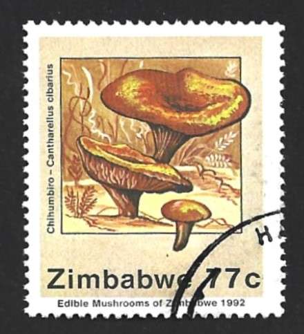 1992 ZIMBABWE EDIBLE MUSHROOMS