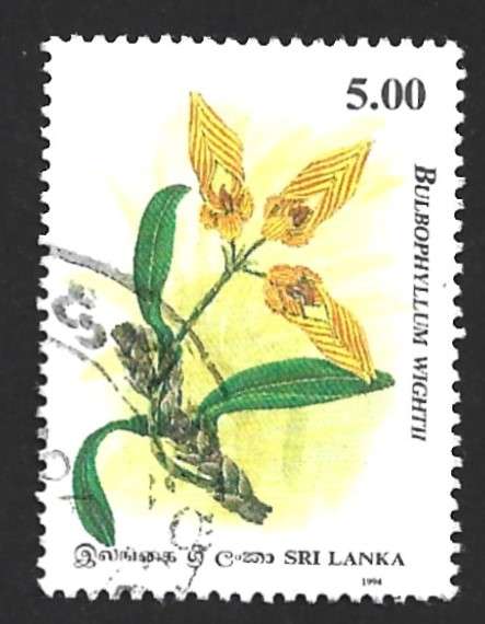 1994 SRI LANKA ORCHIDS
