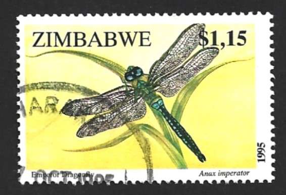 1995 ZIMBABWE INSECTS