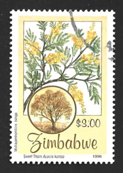 1996 ZIMBABWE TREES