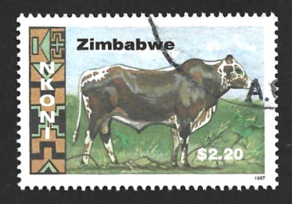 1997 ZIMBABWE CATTLE BREEDS