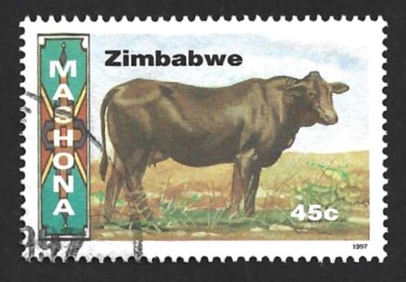1997 ZIMBABWE CATTLE BREEDS