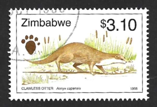 1998 ZIMBABWE ANIMAL