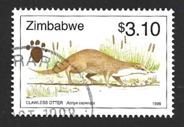1998 ZIMBABWE ANIMAL