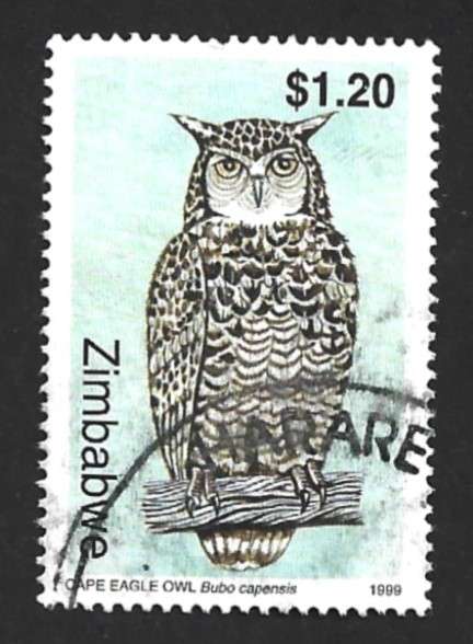 1999 ZIMBABWE OWLS