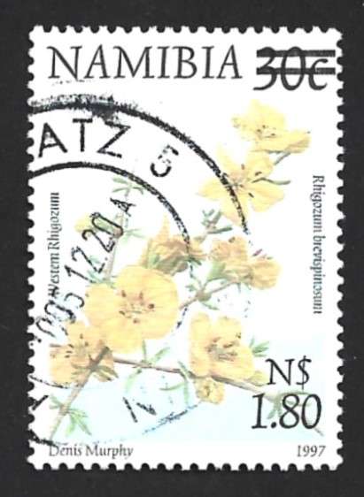 2000 NAMIBIA FLORA AND FAUNA
