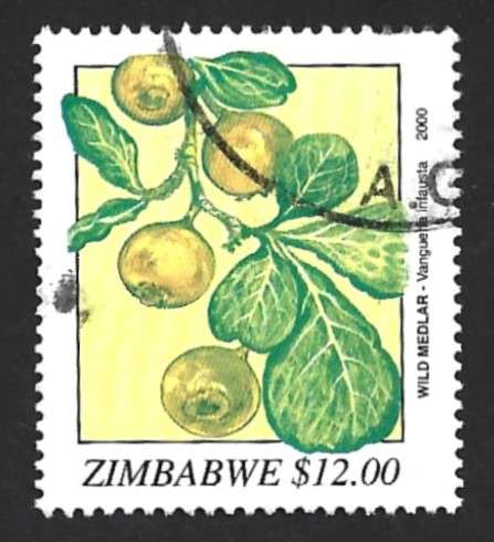 2000 ZIMBABWE WILD FRUITS