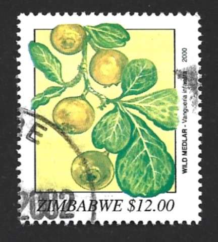 2000 ZIMBABWE WILD FRUITS
