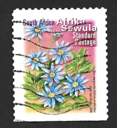 2001 SOUTH AFRICA FLOWER