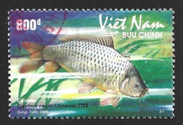 2008 VIETNAM FISH