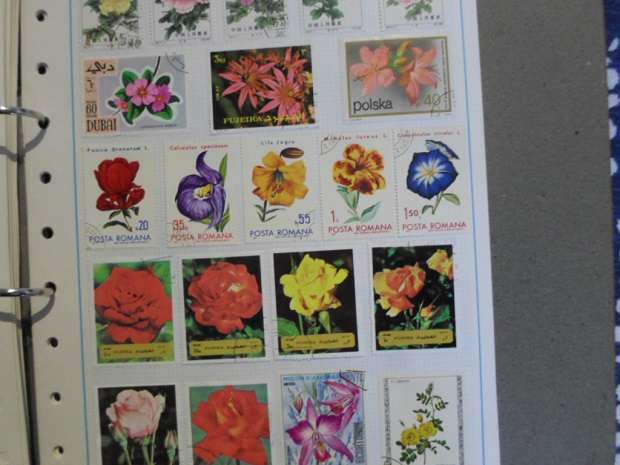FILE 24 X PAGES MIXED WORLD STAMPS GREAT LOT SEE PICS
