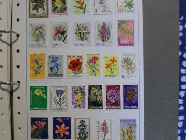 FILE 24 X PAGES MIXED WORLD STAMPS GREAT LOT SEE PICS